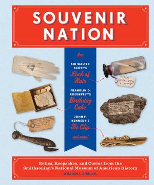 Book cover of Souvenir Nation