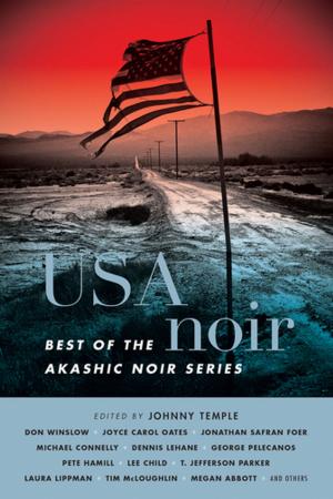 Cover of the book USA Noir by Bernice L. McFadden