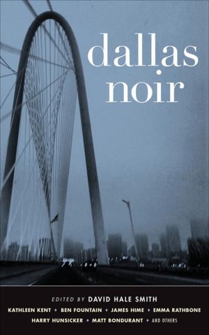 Cover of the book Dallas Noir by Nathan Larson
