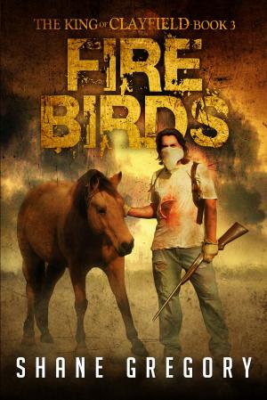 Cover of the book Fire Birds (The King of Clayfield Book 3) by Briar Lee Mitchell