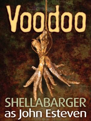 Cover of the book Voodoo by Phil Stong