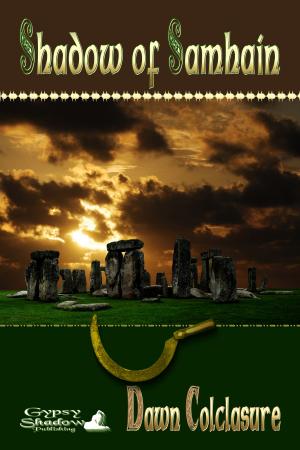 Cover of the book Shadow of Samhain by John Paulits