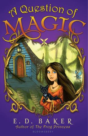 Book cover of A Question of Magic