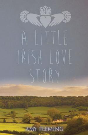 Book cover of A Little Irish Love Story