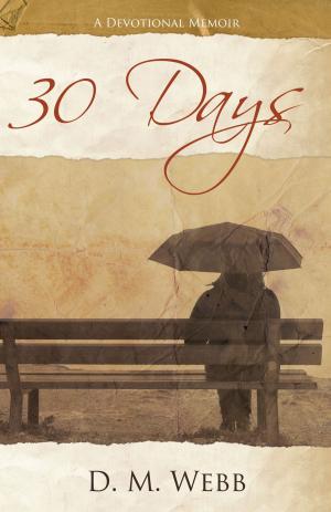 Cover of the book 30 Days by Chimene Shipley Dupler