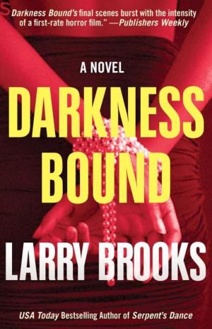 Cover of the book Darkness Bound by Susan E Harris