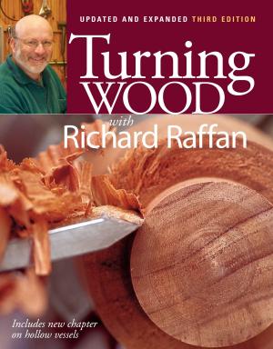 Cover of the book Turning Wood with Richard Raffan by Andrew Engel