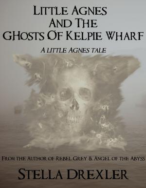 Book cover of Little Agnes and the Ghosts of Kelpie Wharf