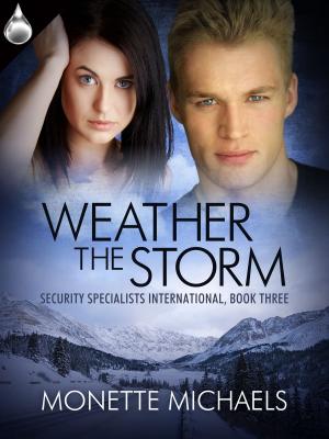 Book cover of Weather the Storm