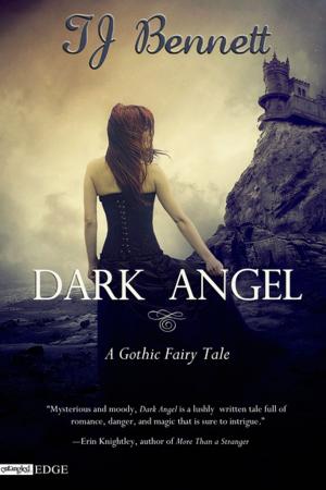 Cover of the book Dark Angel by Christina Mandelski