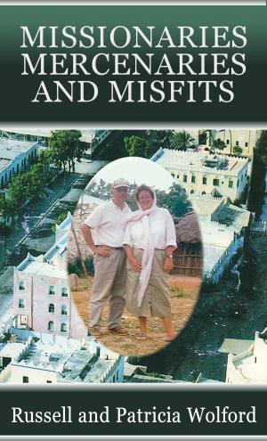 Cover of the book Missionaries, Mercenaries and Misfits by G. McGill