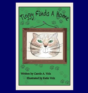 Cover of the book Tiggy Finds A Home by Vidya Frazier