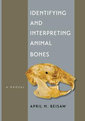 Cover of the book Identifying and Interpreting Animal Bones by Jane Dunn Sibley