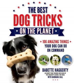 bigCover of the book The Best Dog Tricks on the Planet by 