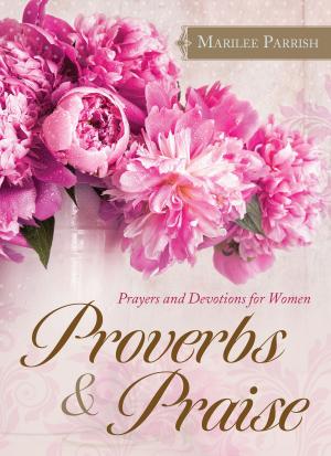 Cover of the book Proverbs & Praise by Joanne Bischof, Amanda Dykes, Heather Day Gilbert, Jocelyn Green, Maureen Lang