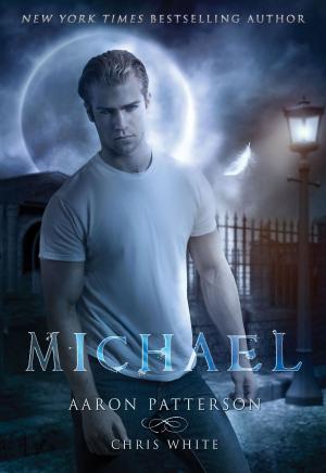 Cover of the book Michael: The Mark by Rob E. Boley