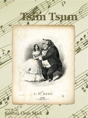 Cover of the book Tsim Tsum by Arthur Rimbaud