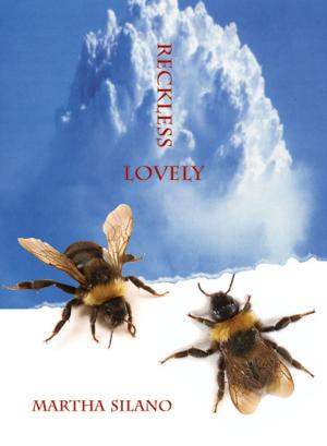 Cover of the book Reckless Lovely by Hadara Bar-Nadav