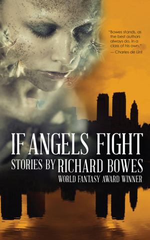bigCover of the book If Angels Fight by 