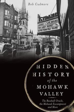 Cover of the book Hidden History of the Mohawk Valley by G. Wayne Dowdy