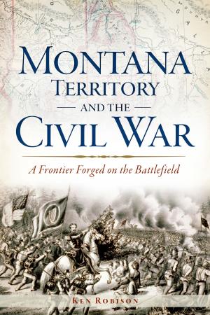 Cover of the book Montana Territory and the Civil War by Robert E. Heinly
