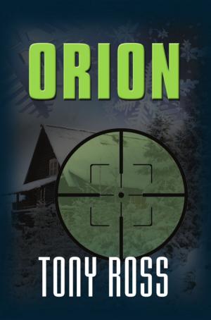 Cover of the book Orion by John Hurd