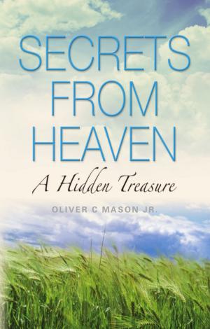 Cover of the book Secrets from Heaven: The Hidden Treasure by Benjamin Stutzman