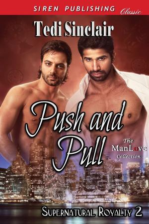Cover of the book Push and Pull by Marcy Jacks
