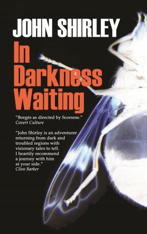 Cover of the book In Darkness Waiting by Phil Foglio, Kaja Foglio