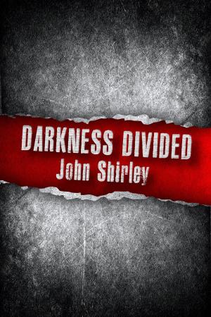 bigCover of the book Darkness Divided by 