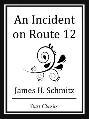 Cover of the book An Incident on Route 12 by Berthold Auerbach