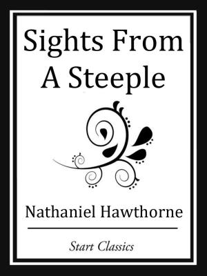 Cover of the book Sights From A Steeple by Charles Fritch