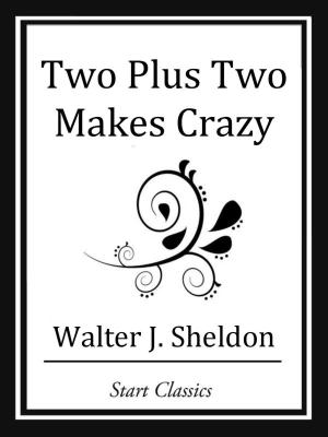 Cover of the book Two Plus Two Makes Crazy by Nathaniel Hawthorne
