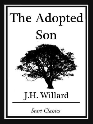 bigCover of the book The Adopted Son by 