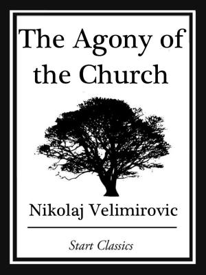 Cover of the book The Agony of the Church by Algernon Blackwood