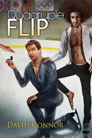 Cover of the book Quadruple Flip by H.J. Holt