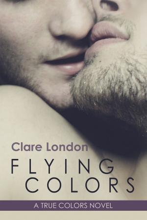 Cover of the book Flying Colors by Kat de Falla