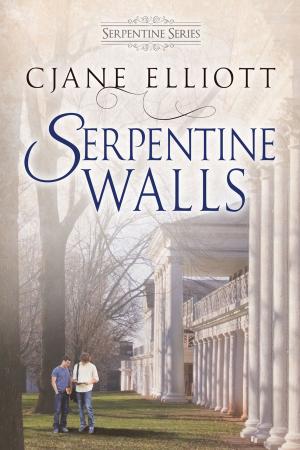 Cover of the book Serpentine Walls by Kate McMurray