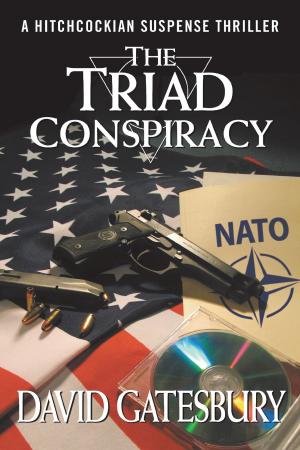 Cover of the book The Triad Conspiracy by Drew Coons, Kit Coons