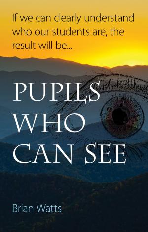 Cover of the book Pupils Who Can See by Faheem