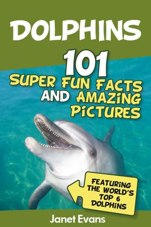 bigCover of the book Dolphins: 101 Fun Facts & Amazing Pictures (Featuring The World's 6 Top Dolphins) by 