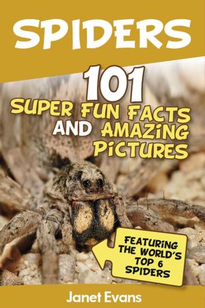 Cover of the book Spiders:101 Fun Facts & Amazing Pictures ( Featuring The World's Top 6 Spiders) by Kayla Woodstein
