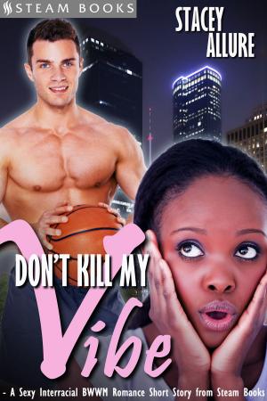 Book cover of Don't Kill My Vibe - A Sexy Interracial BWWM Romance Short Story from Steam Books