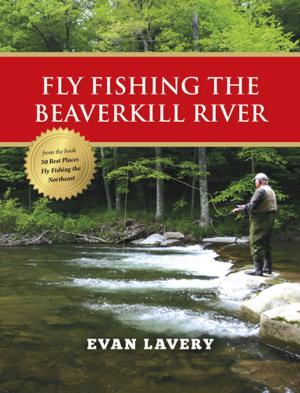 Cover of Fly Fishing the Beaverkill River
