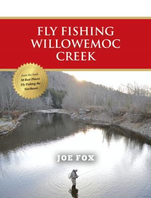 Book cover of Fly Fishing Willowemoc Creek