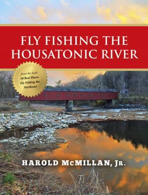 Cover of the book Fly Fishing the Housatonic River by Andrew Kirkpatrick