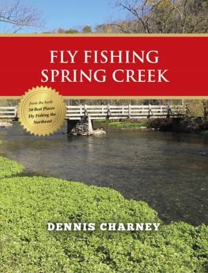 Cover of the book Fly Fishing Spring Creek by Wanda Johnston, Raymond Johnston