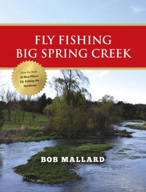 Cover of the book Fly Fishing Big Spring Creek by Bob Mallard