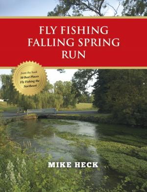 Cover of the book Fly Fishing Falling Spring Run by Erik Aune