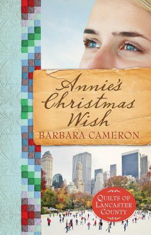 Cover of the book Annie's Christmas Wish by Karen Barnett